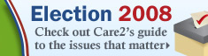 Election 2008