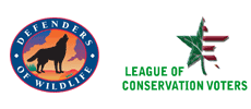 global footer NPO2