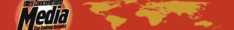 Global Media Concentration Issue Guide