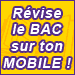 Bac histoire