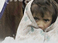 Humanitarian Relief