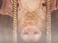 Animal Rights