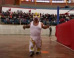 Cresencio Choque Three Foot Tall Wrestler